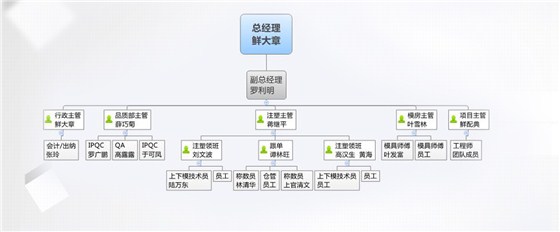 組織結(jié)構(gòu)